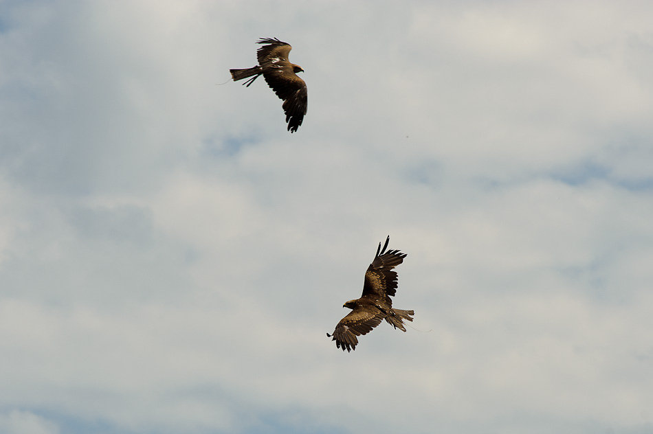 PR-20100612-183.jpg