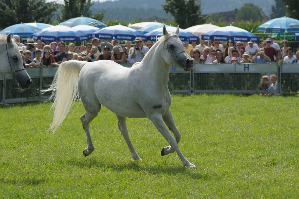 Lunzenhof