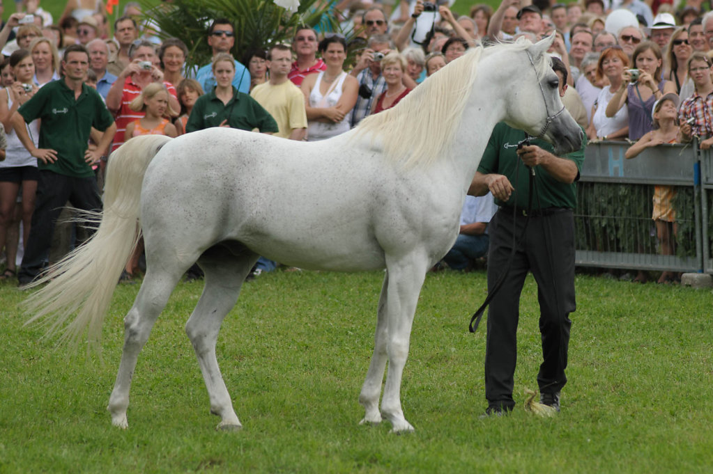 Lunzenhof