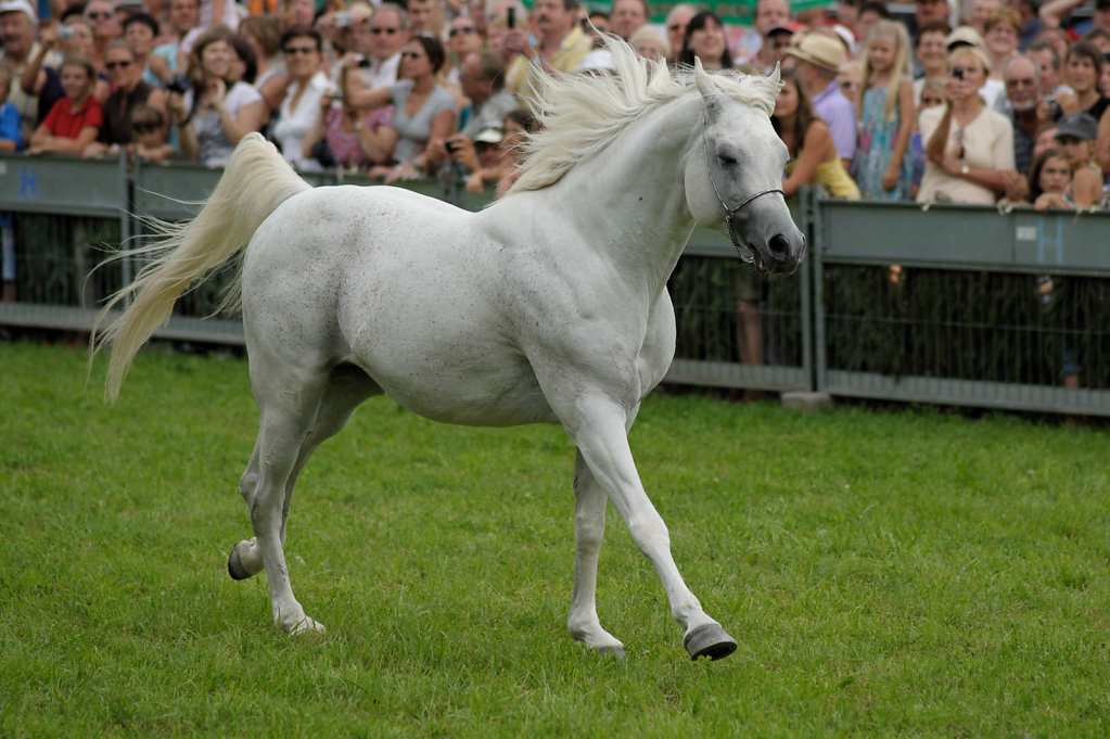 Lunzenhof