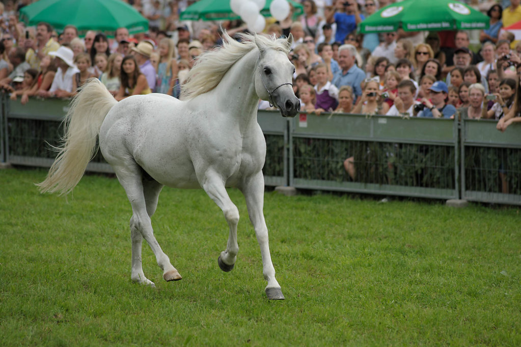 Lunzenhof