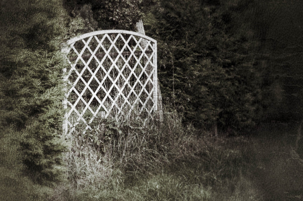 Bild des Monats Oktober 2013