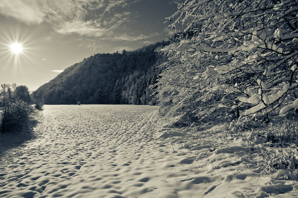Bild des Monats Januar 2011