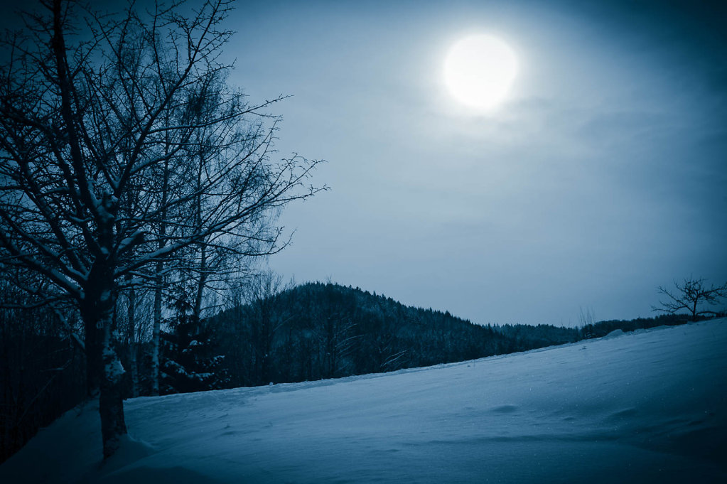 Bild des Monats Februar 2010