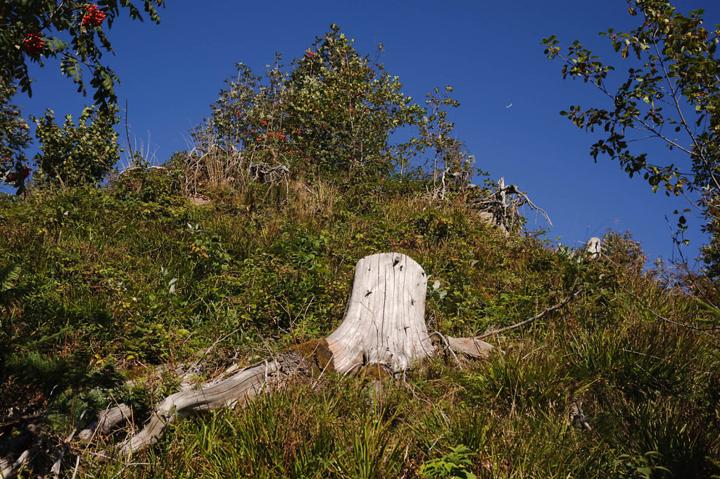 PR-20090830-110.jpg