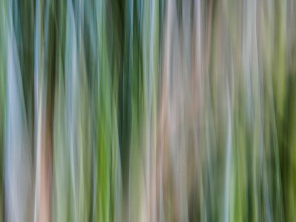 Abstrakte Natur