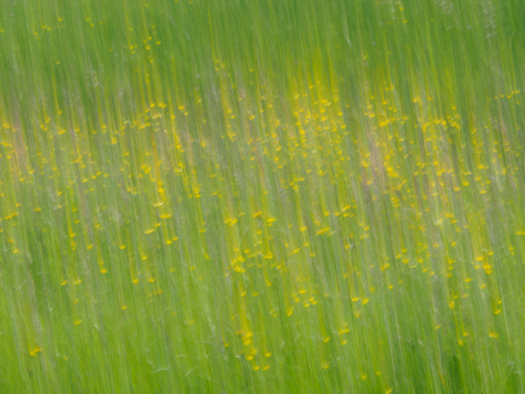 Frühling