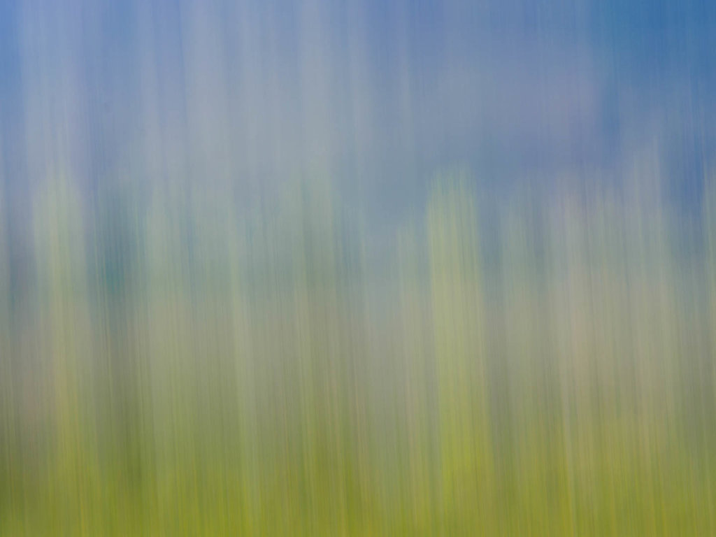Frühling