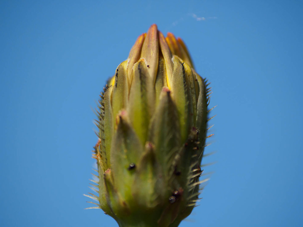 Frühling