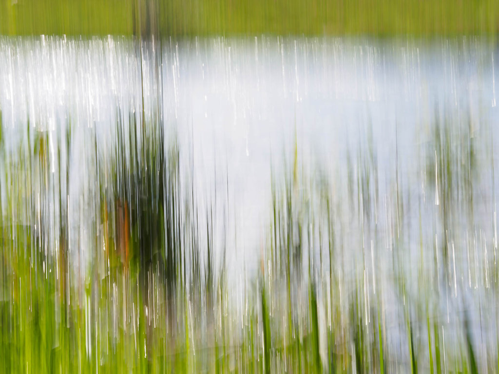 Frühling