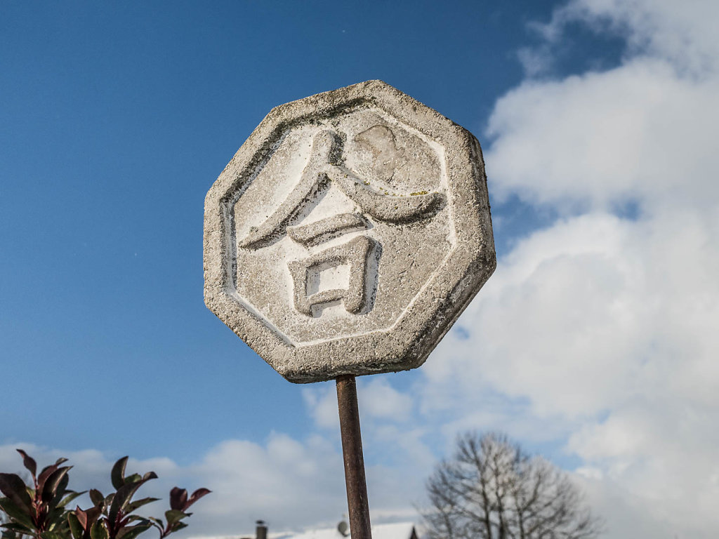 Bild des Monats Februar 2016