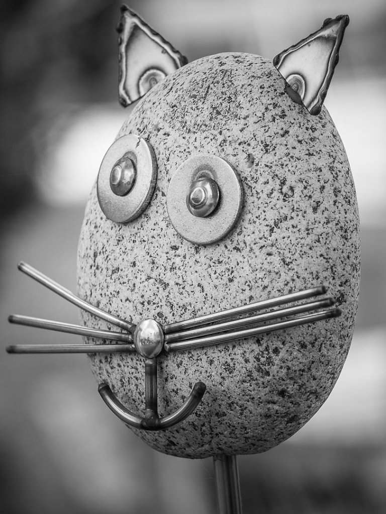 Bild des Monats April 2016