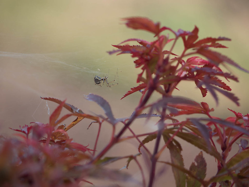Bild des Monats September 2015