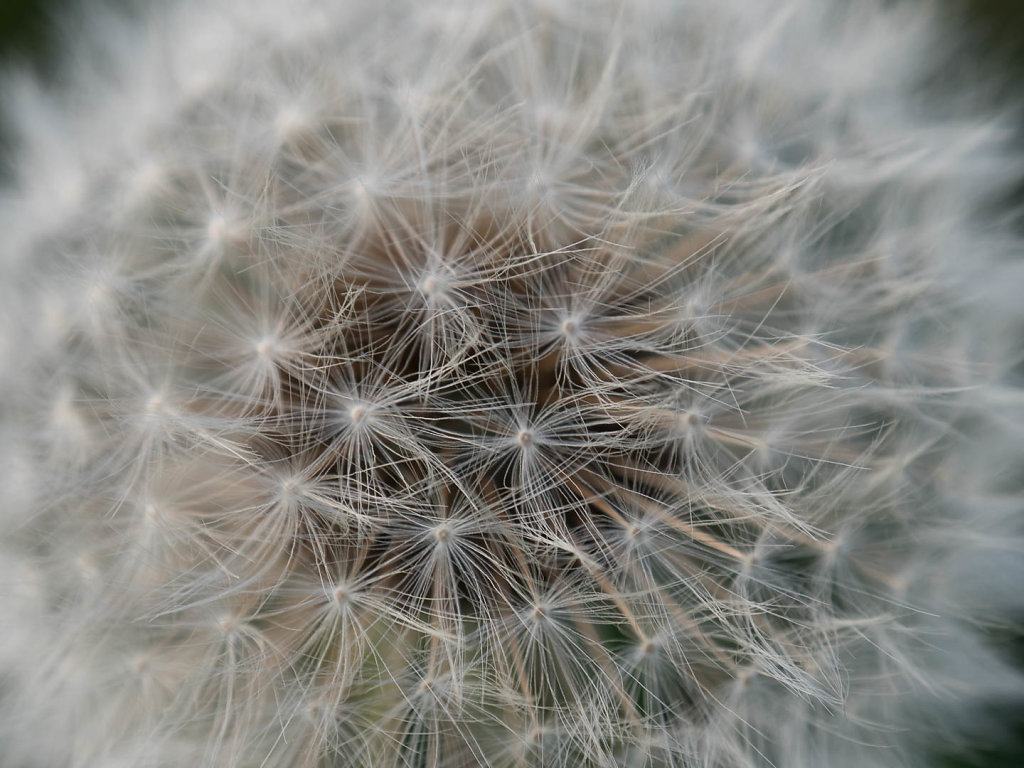 Bild des Monats oktober 2015