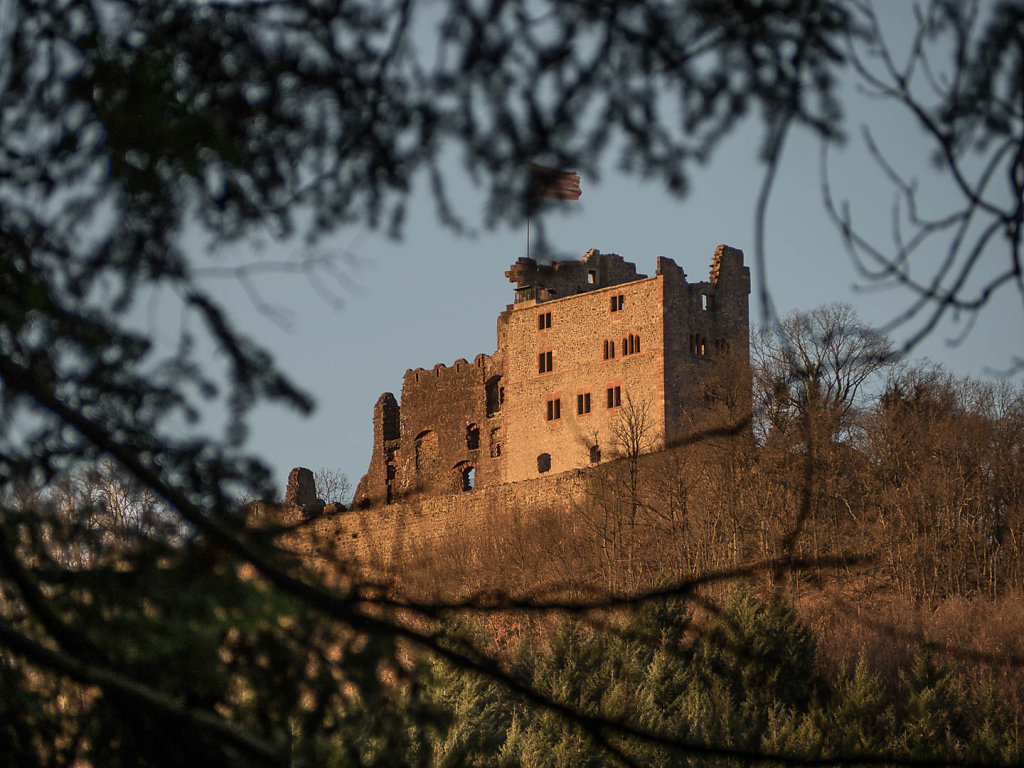 Bild des Monats November 2015