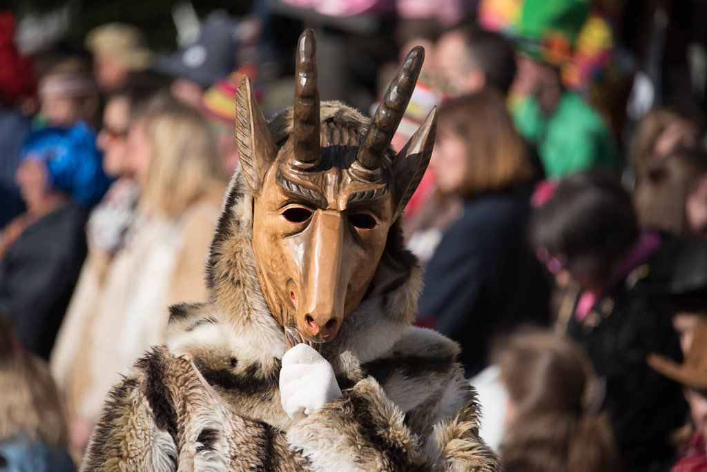 Narrenparade