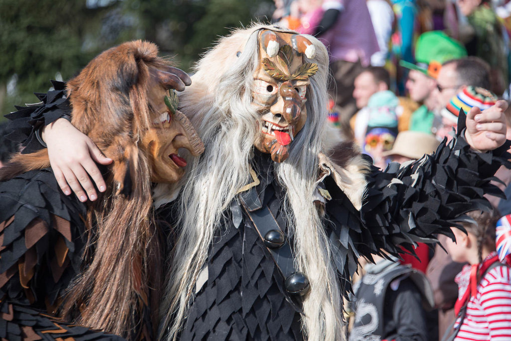 Narrenparade
