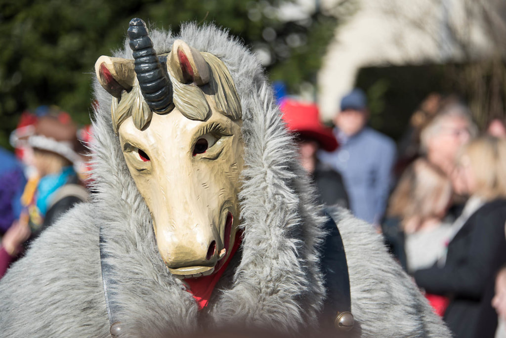 Narrenparade