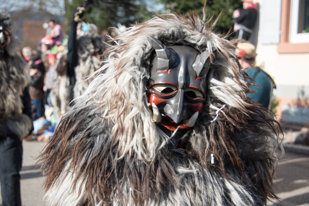 Narrenparade