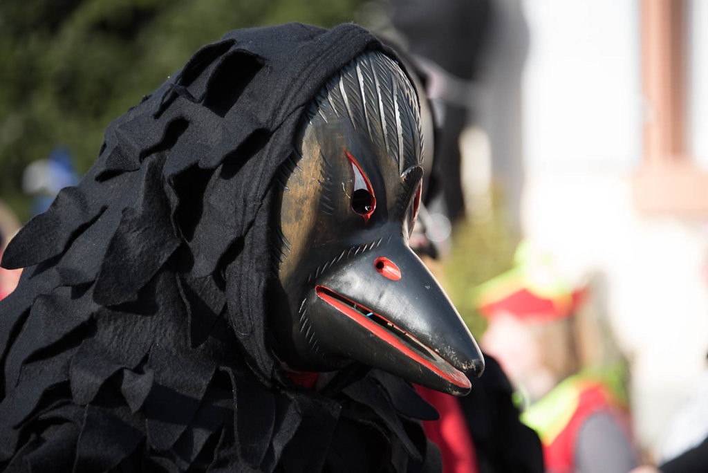 Narrenparade