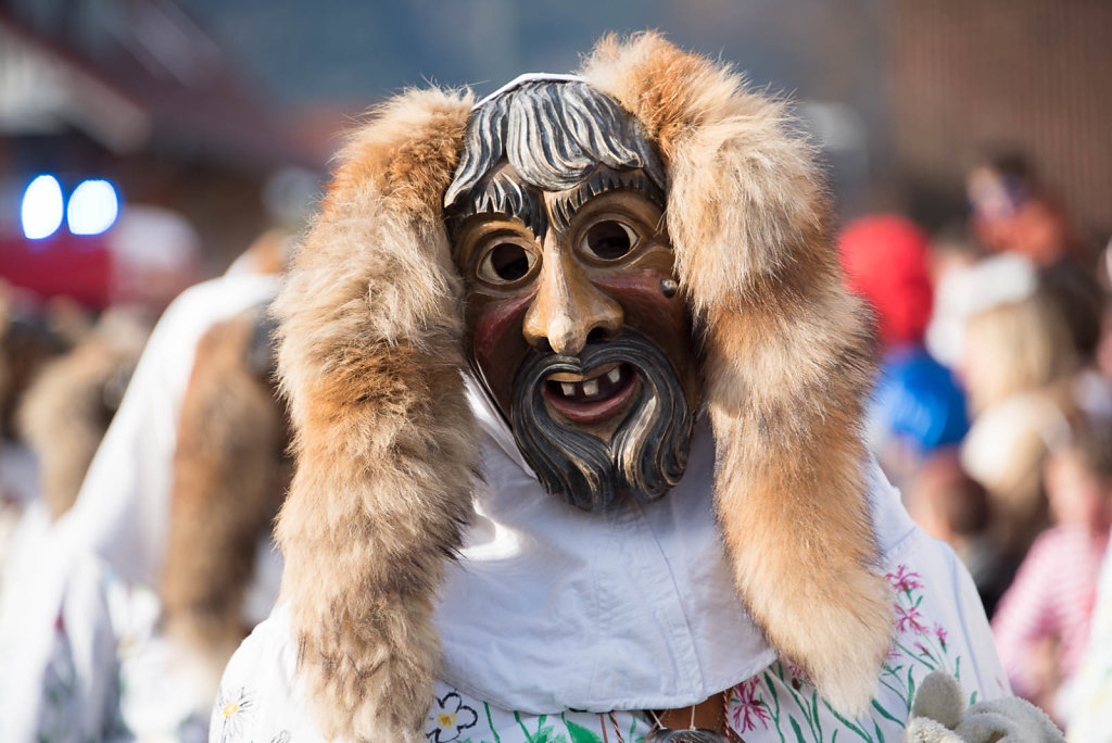 Narrenparade